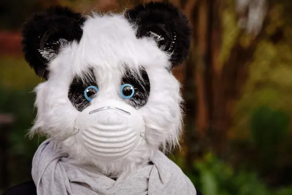 벳오리지널 카지노 지원